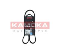 Cinghia Poly-V per AUDI FIAT FORD MINI OPEL PEUGEOT RENAULT RENAULT TRUCKS SEAT