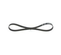 Cinghia Poly-V per AUDI FIAT HONDA NISSAN PEUGEOT SEAT SKODA VW A3 ACCORD ALTEA