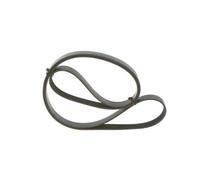 Cinghia Poly-V per AUDI FORD FORD AUSTRALIA GAZ HOLDEN LEXUS MAZDA PORSCHE TOYOT