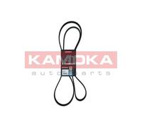 Cinghia Poly-V per AUDI FORD FORD USA JEEP LINCOLN OPEL RENAULT SAAB 9-5 A6 CONT