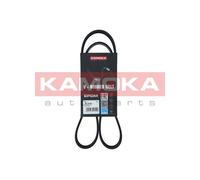 Cinghia Poly-V per AUDI FORD HYUNDAI KIA SEAT SKODA TOYOTA VW A3 ALHAMBRA ALTEA