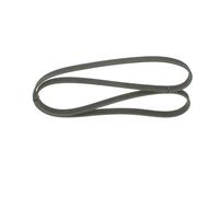 Cinghia Poly-V per AUDI PORSCHE VW CAYENNE PHAETON Q7 TOUAREG