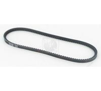 Cinghia Poly-V PER Renault 11 1.4 Turbo 87 KW 118 CV