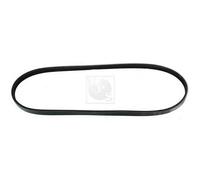 Cinghia Poly-V PER BMW 3 316i 73 KW 100 CV