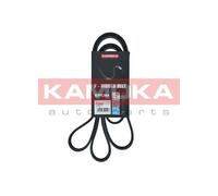 Cinghia Poly-V per BMW 3 5 7 X5