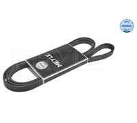 Cinghia Poly-V per BMW 3 5 7 X5