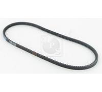 Cinghia Poly-V PER BMW 6 635 CSi 141 KW 192 CV