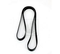 Cinghia Poly-V PER BMW 7 730i, iL 155 KW 211 CV