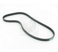 Cinghia Poly-V PER BMW 7 735i, iL 173 KW 235 CV