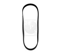 Cinghia Poly-V PER BMW 7 750i, iL 240 KW 326 CV