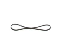 Cinghia Poly-V per BMW CHEVROLET CHRYSLER DAEWOO DODGE EUNOS FIAT FORD AUSTRALIA