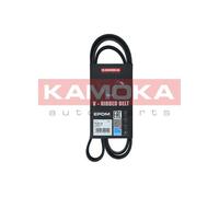 Cinghia Poly-V per BMW CHRYSLER HYUNDAI SEAT 3 IBIZA SANTA FÉ TRAJET TUCSON VOYA