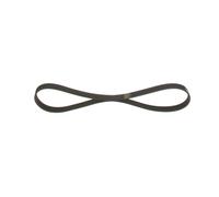 Cinghia Poly-V per BMW FIAT FORD HONDA 1 3 BRAVA BRAVO CIVIC FR-V PALIO PUNTO SI