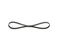 Cinghia Poly-V per BMW FIAT HOLDEN LAND ROVER MAZDA PEUGEOT PORSCHE TOYOTA 405 5