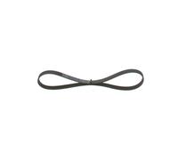 Cinghia Poly-V per BMW FIAT SUZUKI 3 5 GRAND VITARA REGATA SEDICI SWIFT SX4 SX4