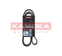 Cinghia Poly-V per BMW FORD HYUNDAI OPEL TOYOTA VW 3 5 7 BAYON BORA C-MAX CELICA