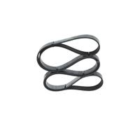 Cinghia Poly-V per BMW HONDA 7 ACCORD