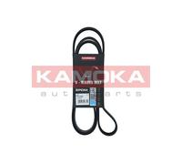 Cinghia Poly-V per BMW HONDA 7 ACCORD