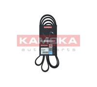 Cinghia Poly-V per BMW LAND ROVER MG ROVER 3 5 75 FREELANDER MG ZT MG ZT- X6
