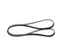 Cinghia Poly-V per BMW LAND ROVER SUBARU 1 3 5 DISCOVERY LEGACY OUTBACK
