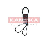 Cinghia Poly-V per BMW MITSUBISHI TOYOTA VW 1 3 5 COROLLA GRANDIS TRANSPORTER X1