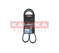 Cinghia Poly-V per BMW NISSAN OPEL RENAULT 1 3 INTERSTAR MASTER MOVANO
