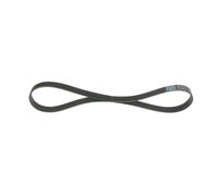 Cinghia Poly-V per BMW RENAULT 1 3 MASTER