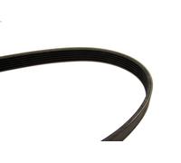 Cinghia poly-V per BOSCH 1 987 946 027 per AUDI A3 (8L1) 1.9 1996-2001