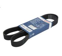 Cinghia poly-V per BOSCH 1 987 946 251 per AUDI Q7 (4LB) 3 2010-2015