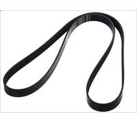 Cinghia poly-V per BOSCH 1 987 946 255 per BMW 7 (E65, E66, E67) 3.9 2002-2005