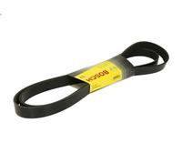 Cinghia poly-V per BOSCH 1 987 946 283 per CHRYSLER 300C (LX, LE) 3 2005-2012