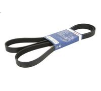 Cinghia poly-V per BOSCH 1 987 946 296 FORD PUMA (EC_) 1.4 1997-2