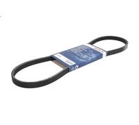 Cinghia poly-V per BOSCH 1 987 947 559 per DODGE STRATUS 2.4 2000-2001