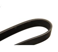 Cinghia poly-V per BOSCH 1 987 948 316 per DODGE INTREPID 3.2 1998-2004