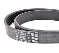 Cinghia poly-V per BOSCH 1 987 948 403 per CHRYSLER VIPER 8 1992-1998