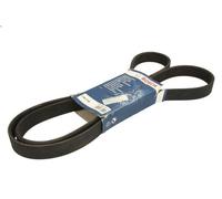 Cinghia poly-V per BOSCH 1 987 948 442 HONDA CR-V II (RD_) 2 2001-2007