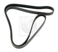 Cinghia Poly-V PER Buick Skylark 3.1 117 KW 159 CV