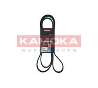 Cinghia Poly-V per CADILLAC CHRYSLER DAEWOO DODGE FORD FORD USA JEEP LANCIA LAND