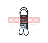Cinghia Poly-V per CADILLAC HYUNDAI KIA TOYOTA CEE'D CTS i30 PRO CEE'D RIO STONI