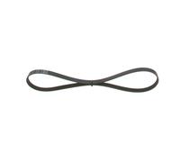 Cinghia Poly-V per CHEVROLET DAEWOO FIAT FORD MAZDA RENAULT TRUCKS ROVER 626 ARA