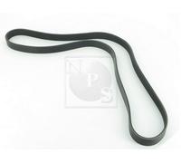 Cinghia Poly-V PER Chrysler 300 M 3.5 V6 24V 187 KW 254 CV