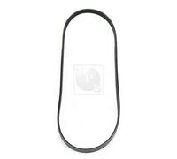 Cinghia Poly-V PER Chrysler LeBaron Cabrio 2.5i Turbo 112 KW 152 CV