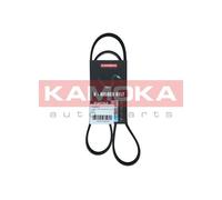 Cinghia Poly-V per CITROËN DAIHATSU FIAT HONDA LAND ROVER MG MITSUBISHI PEUGEOT