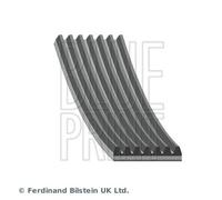 Blue Print Cinghia servizi AD07R1165 EPDM multirighe 1165 mm per Renault Pulse
