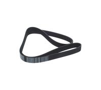 Cinghia Poly-V per DACIA NISSAN RENAULT CAPTUR CLIO DOKKER DUSTER GRAND SCÉNIC J