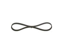 Cinghia Poly-V per DACIA NISSAN RENAULT SUBARU TOYOTA BLUEBIRD JUSTY LOGAN LOGAN