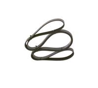 Cinghia Poly-V per DODGE FORD AUSTRALIA FPV HOLDEN MERCEDES-BENZ OPEL SAAB 9-5 C