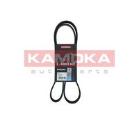 Cinghia Poly-V per FIAT IVECO MERCEDES-BENZ OPEL RENAULT VW DAILY MARCO POLO TAL