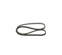 Cinghia Poly-V per FIAT KIA LANCIA MAZDA 323 DEDRA SHUMA TEMPRA TIPO
