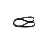 Cinghia Poly-V per FIAT MITSUBISHI SMART TOYOTA CELICA COLT COLT CZC COROLLA FOR